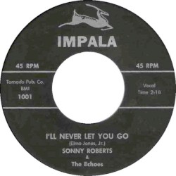 I'll Never Let You Go / Honey Chile