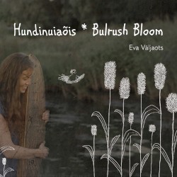 Bulrush Bloom