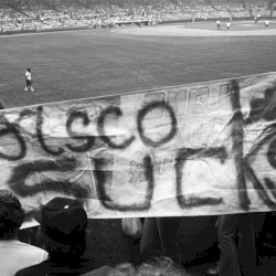 Disco Demolition Night