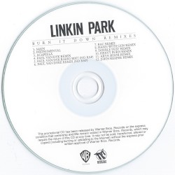 Burn It Down: Remixes