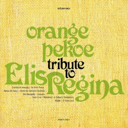 Tribute To Elis Regina