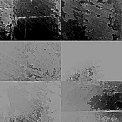 Self-Deprecation as Egotism