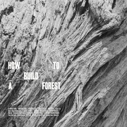 How To Build A Forest