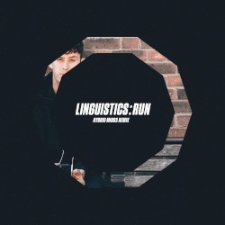 Run (Hybrid Minds remix)