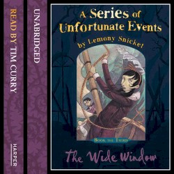 A Series of Unfortunate Events, Book 3: The Wide Window