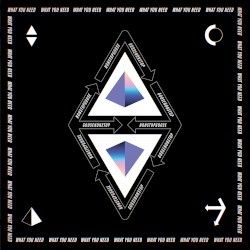 What You Need (NONSTOP Live Remix)