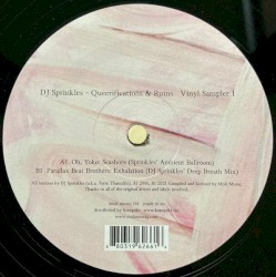 Queerifications & Ruins Vinyl Sampler 1
