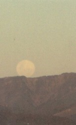 i follow the moon