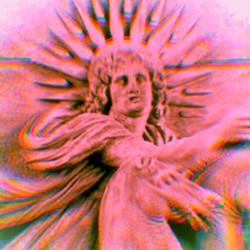 The Other Side Of The Garden Wall