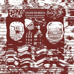 In the Quarter Column