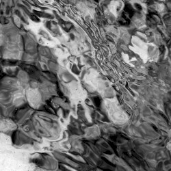 Soundtrack for the Aquarium