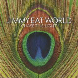 Chase This Light