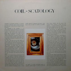 Scatology