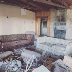 Afternoons in the Valley