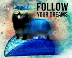 Follow Your Dreams