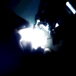 Freeze All Motor Functions