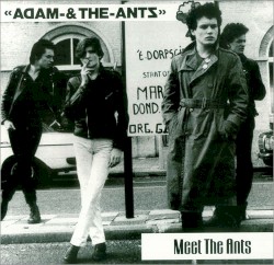 Meet The Ants