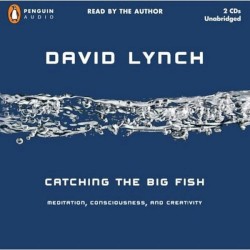 Catching the Big Fish: Meditation, Consciousness, and Creativity