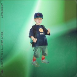 I DON’T WANT TO FALL IN LOVE