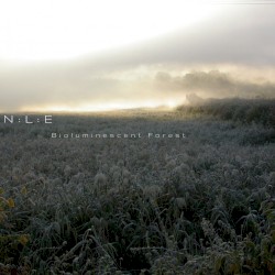 Bioluminescent Forest