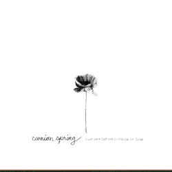 Those We've Lost and Continue to Lose