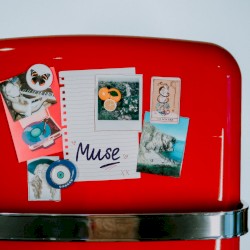 Muse