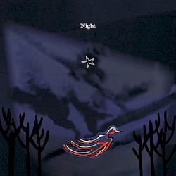 Night