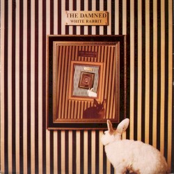 White Rabbit