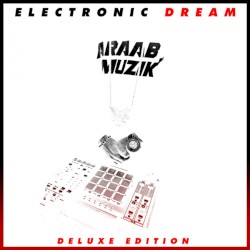 Electronic Dream