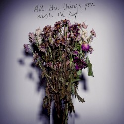 All The Things You Wish I'd Say