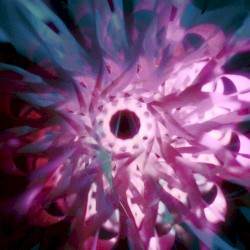 death comes from above