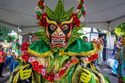 Consequences of Uncontrolled Tomfoolery