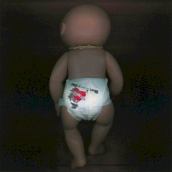 DOGZ (In the Studio)