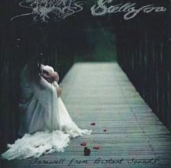 Farewell From Distant Sounds