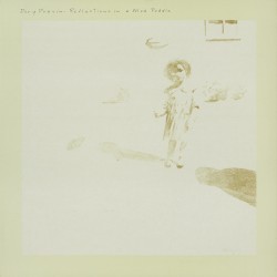 Reflections in a Mud Puddle: Taps Tremors and Time Steps