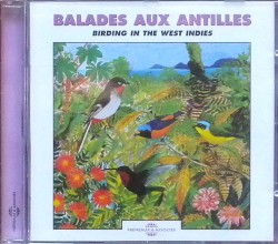 Balades aux Antilles / Birding in the West Indies