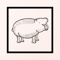 The Super Geniuses of the Square Table