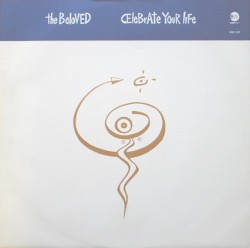 Celebrate Your Life