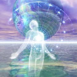 | internal systems |
