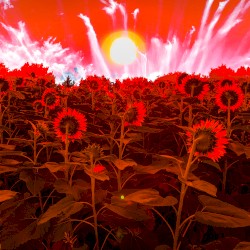 Kosmik Debris & Interstellar Ghosts II