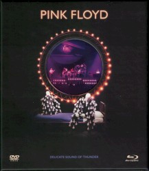 Delicate Sound of Thunder