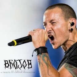 In The End (Chester Bennington Tribute)