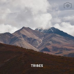 Tribes