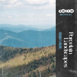 Porcelain Landscapes