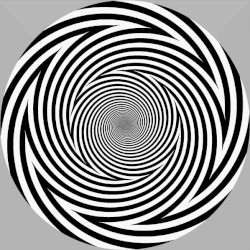 Hardcore You Know the Score 2019