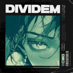 DIVIDEM