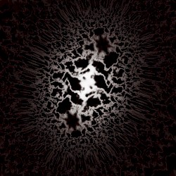 Hemlösa katter - Homeless Cats