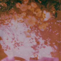 Gravity (a cappella version)