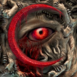 Wounds Never Healed