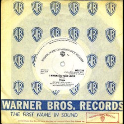 I Wanna Be Your Lover